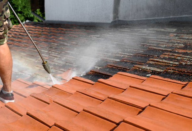 Best Deck Cleaning Services  in Limon, CO